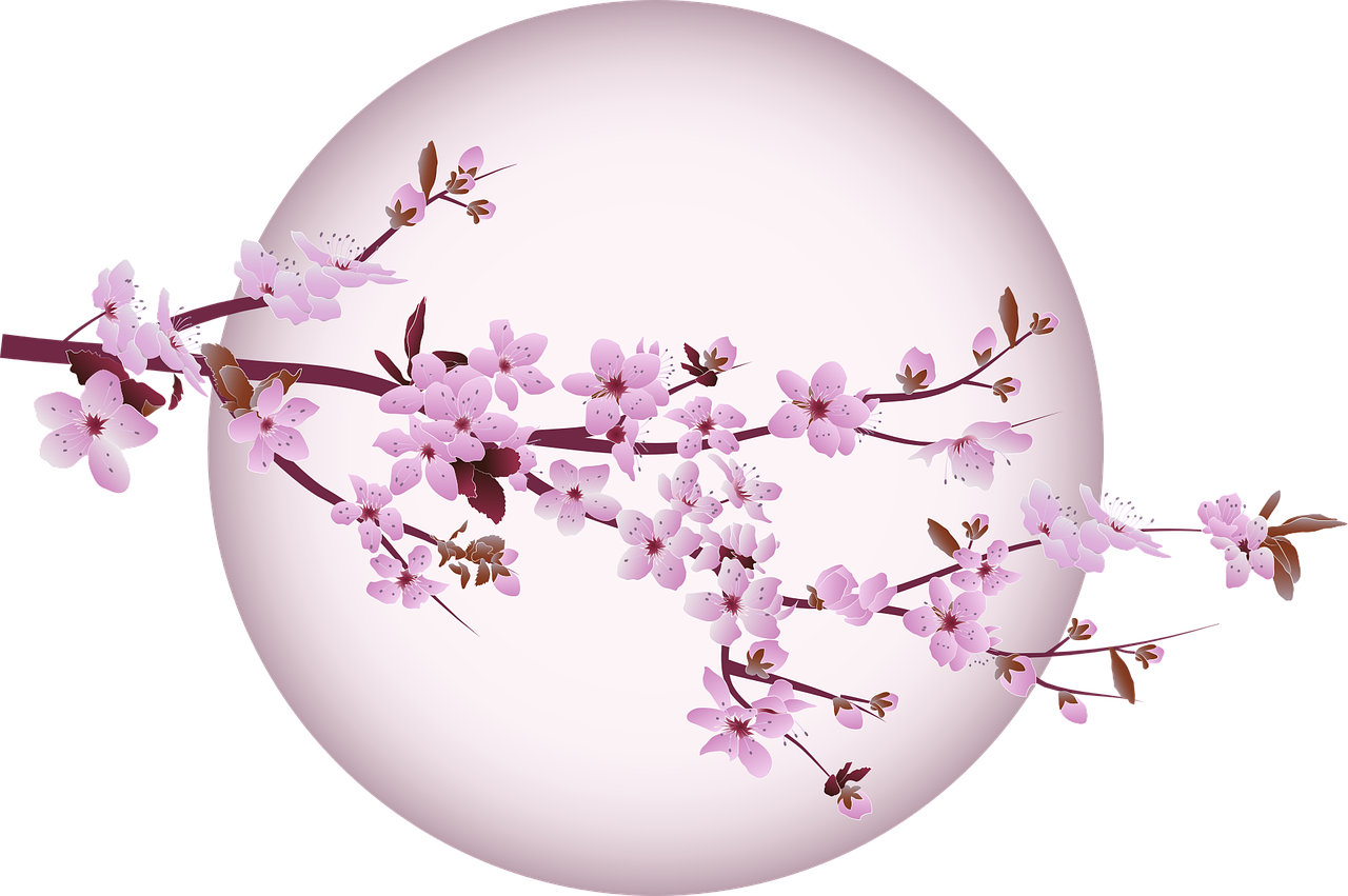 cherry blossom, cherry, tree-5439750.jpg
